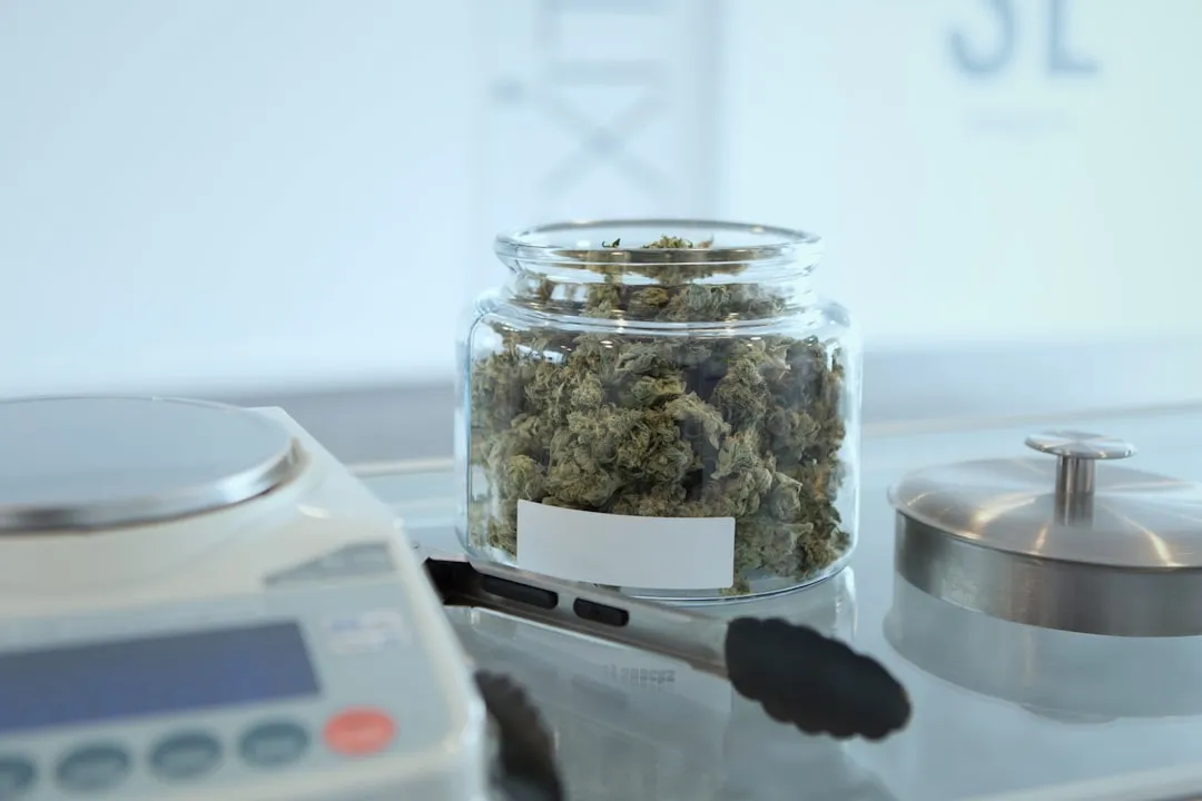 早教游戏光盘与益智游戏光盘的差异化功能对比及应用场景
